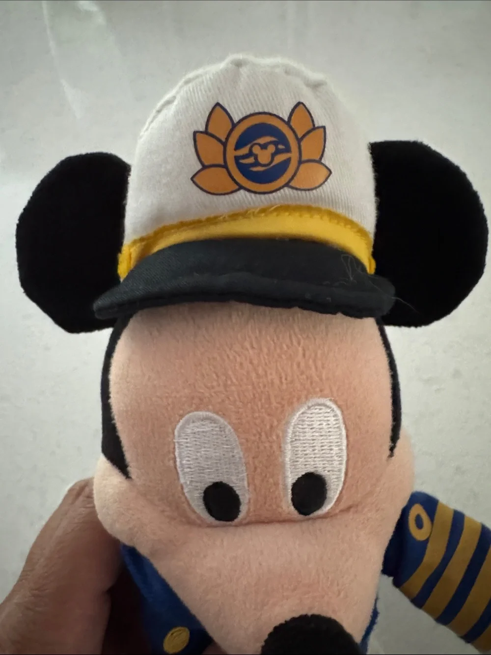 Disney Cruise Line questions leave